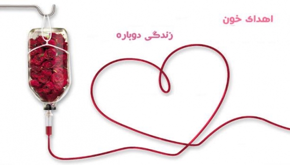 سبزواری ها؛ رکورد دار اهدای خون